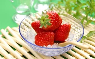水户蜀葵 VS 鸟栖砂岩